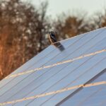 Solarzellenbenötigung für ein Haus
